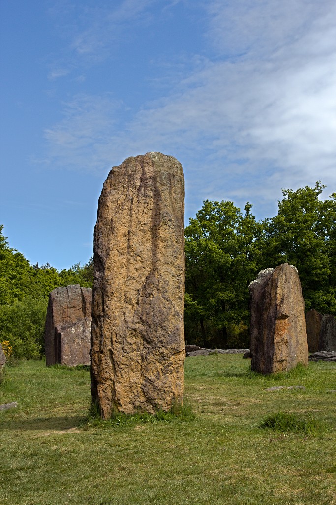 Megalithes megalieten megaliet carnac monteneuf champ dolent bretagne france frankrijk menhir obelix hdr menhirs morbihan asterix